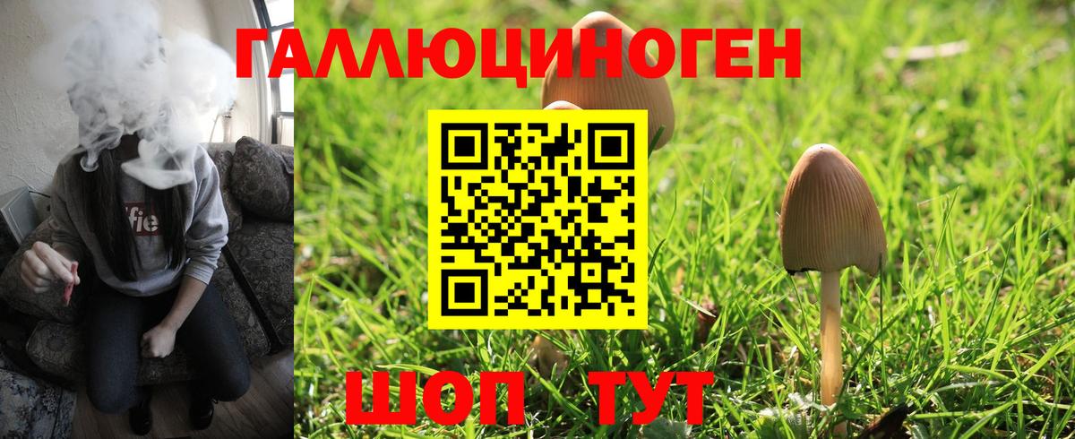 Псилоцибиновые грибы мухоморы Казань